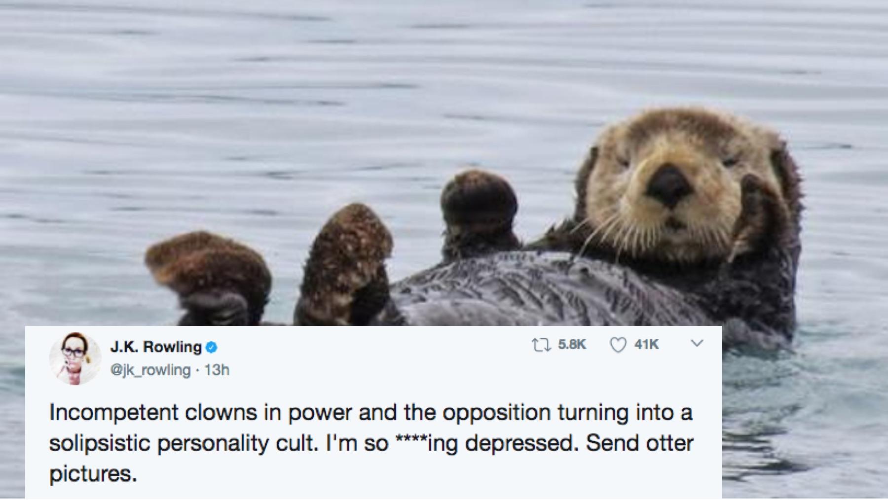 J.K. Rowling asks fans for Otter Photos