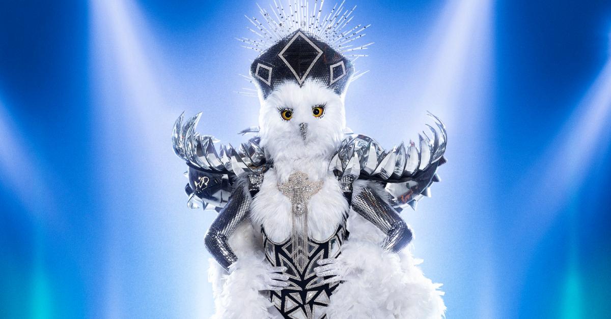 Night Owl on 'The Masked Singer'