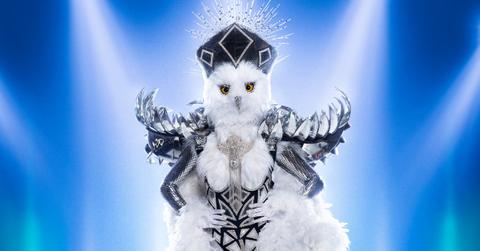 Night Owl on 'The Masked Singer'