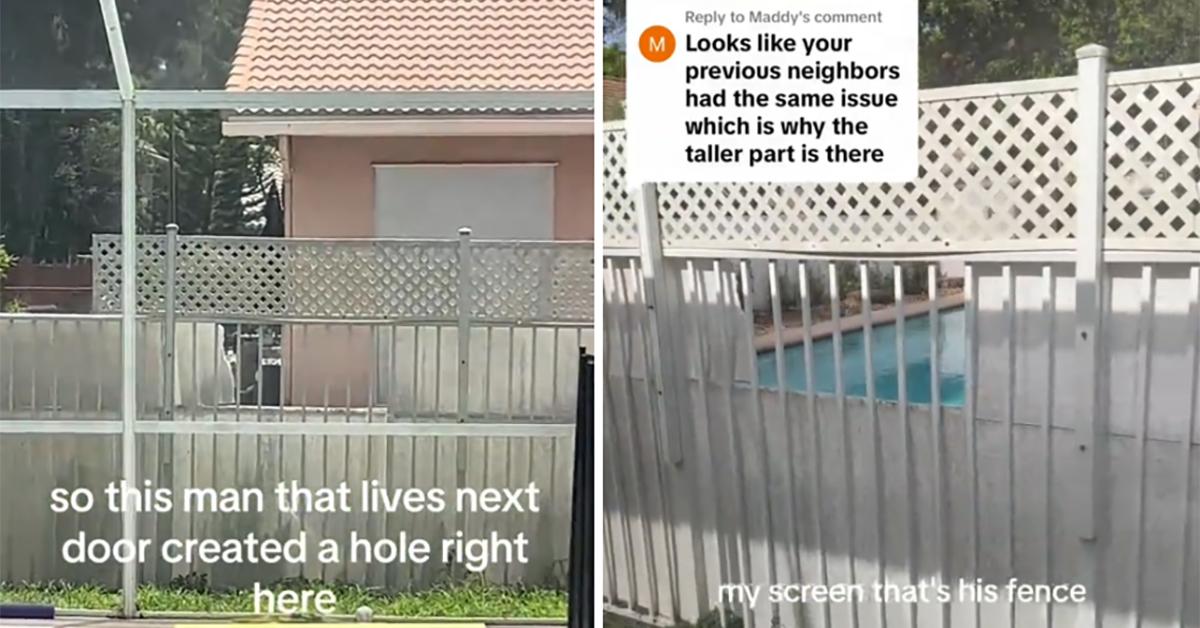 A homeowner's viral video showing the hole a nosy neighbor may have put in the fence.