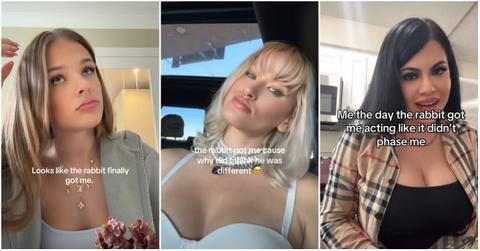Inside the Meaning Behind the Rabbit Got Me on TikTok