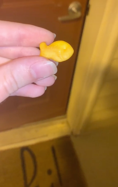 goldfish