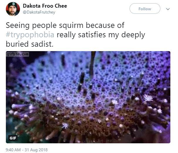 22 Trypophobic Images You Shouldn't Look at for Too Long