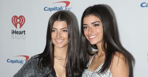 charli damelio losing followers