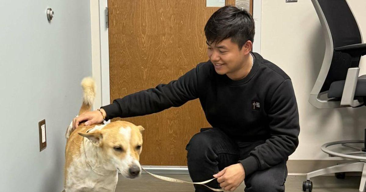 Why Did Aloka, the Walk for Peace Dog, Need Surgery?