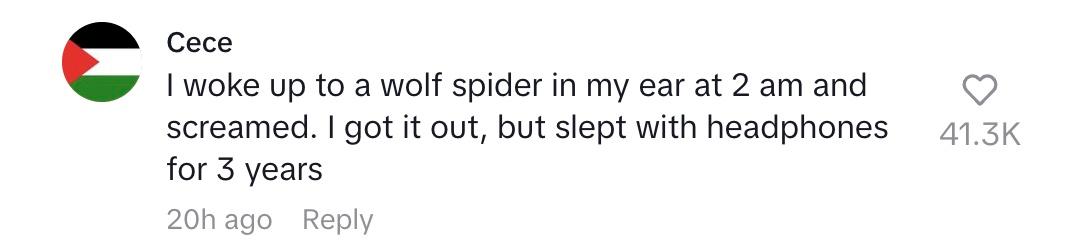 tiktok comment spider in ear