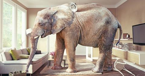 strange sentence in the english language