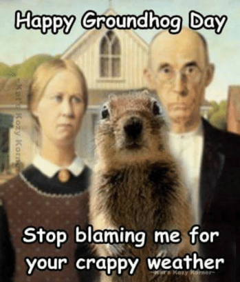 funny groundhog day memes