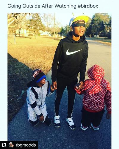 bird box memes outside