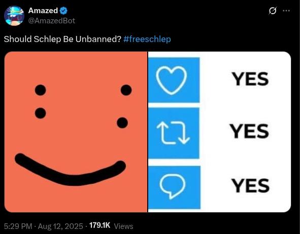 X post about Schlep.