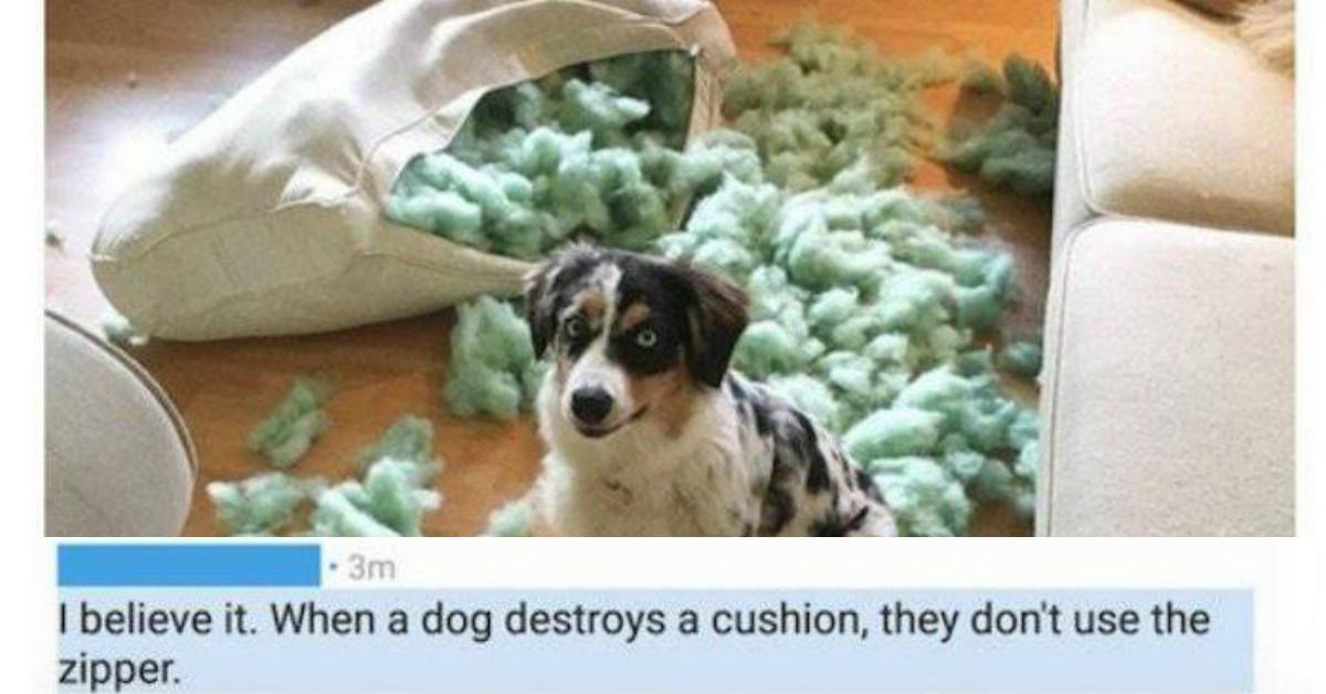 61 Hilarious Incidents Where People Lied Online And Got Theirs