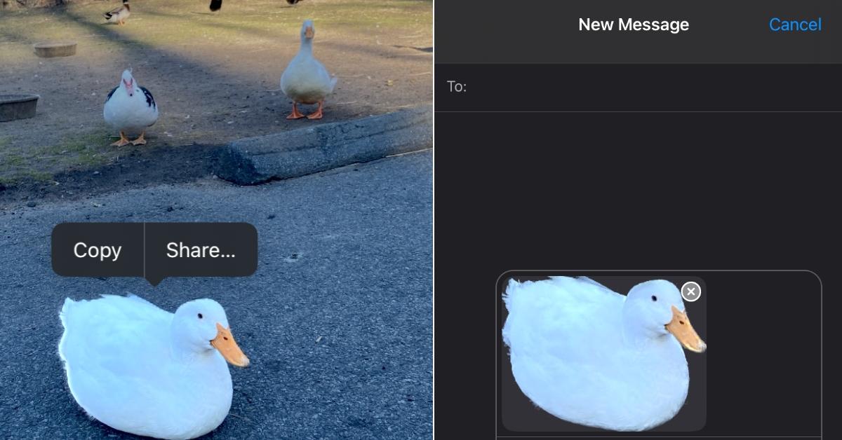 iPhone Users Can Easily Make Digital Stickers From Their Photos
