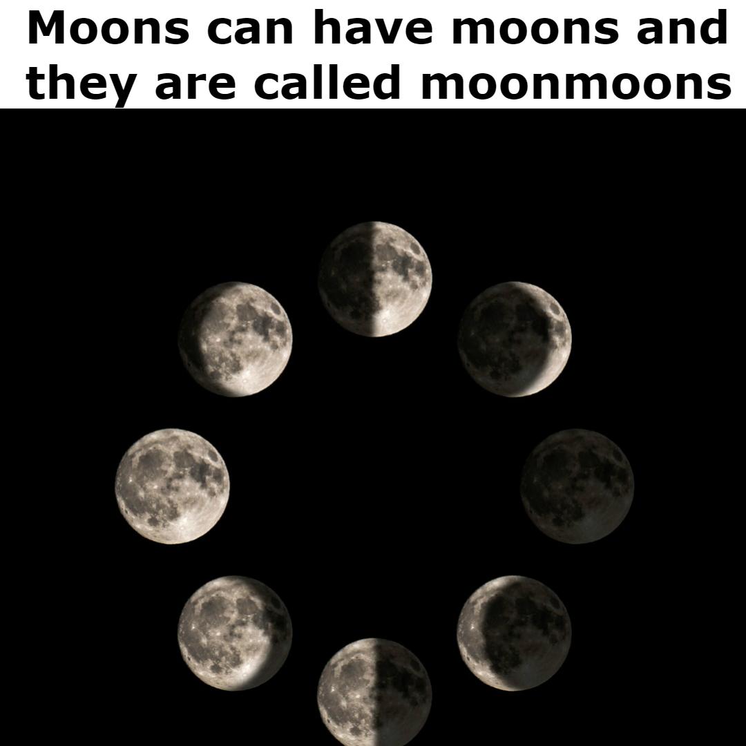 moonmoons