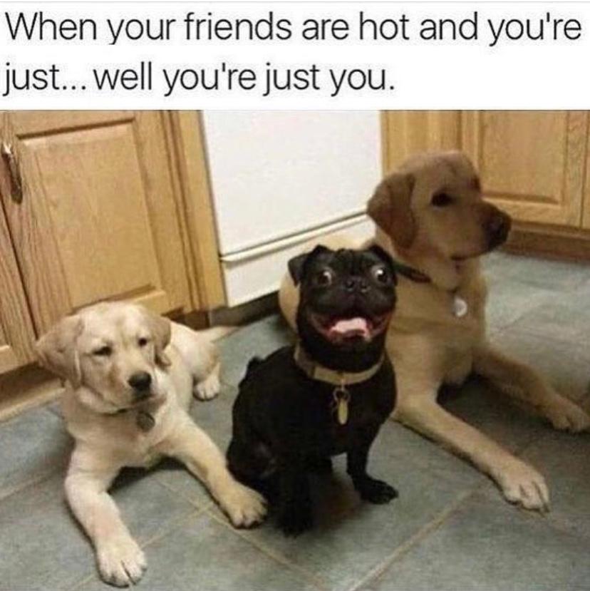 National Best Friends Day Memes to Send to Your Most Adored Bestie