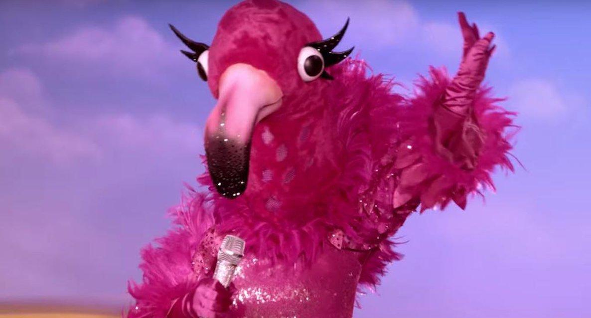 masked singer flamingo