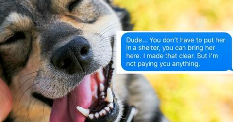 choosing-beggar-dog-adoption-cover-1556186613139.jpg