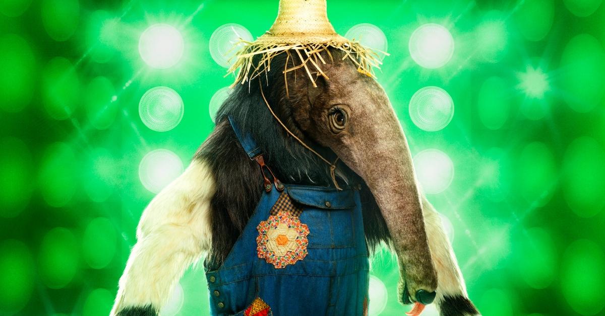 Anteater from Season 10 of 'The Masked Singer'