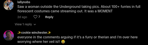 Video of Furry in Background of Wedding Goes Viral