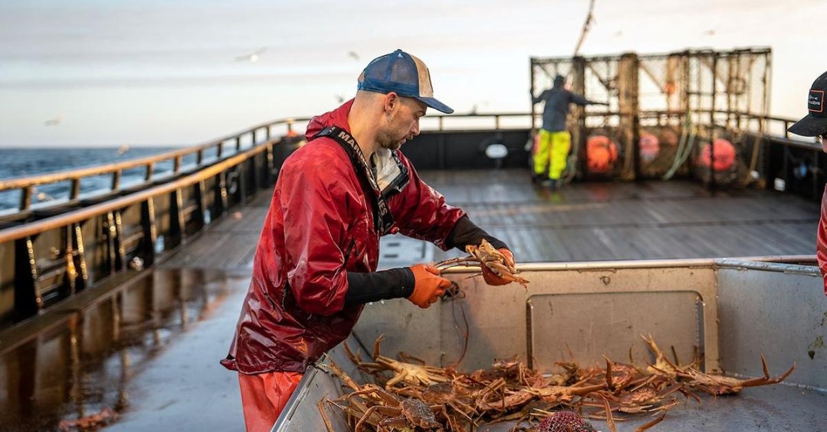 A fisherman holding crabs on a boat