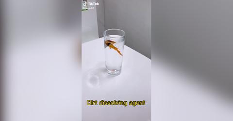 dissolving fish tiktok