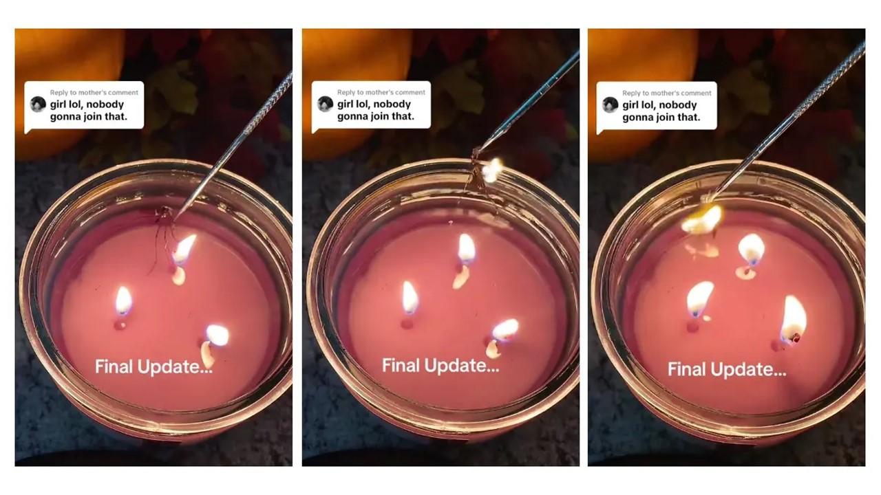 A crane fly is removed from a brand-new candle