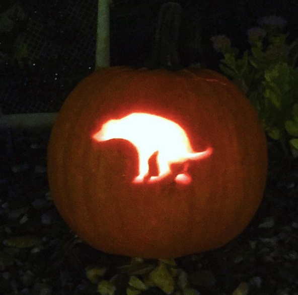 The Scariest Pumpkins Ever Carved For Halloween