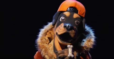 rottweiler masked singer best guesses