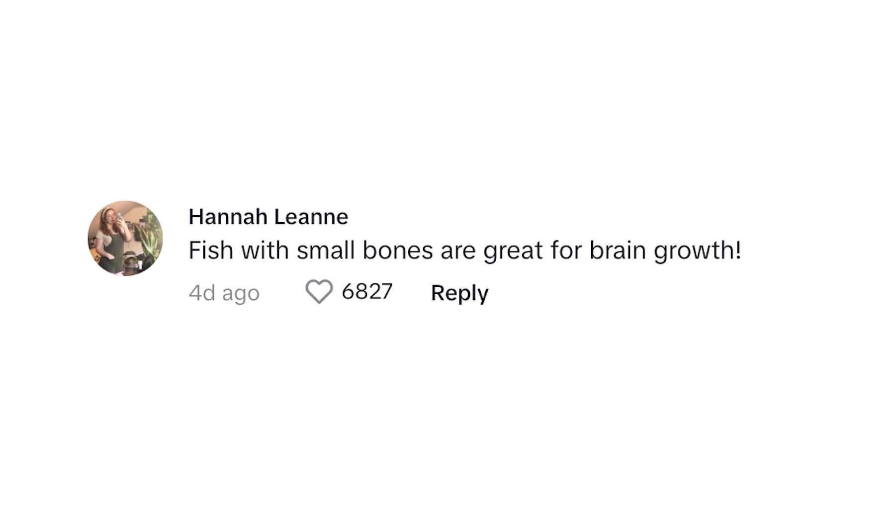 A commenter saying that fish is great for brain growth