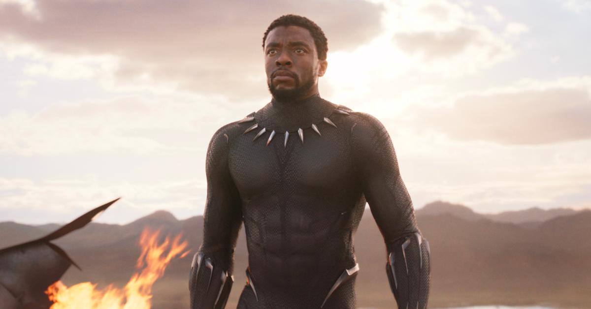 Chadwick Boseman as T'Challa / Black Panther in 'Black Panther' (2018).