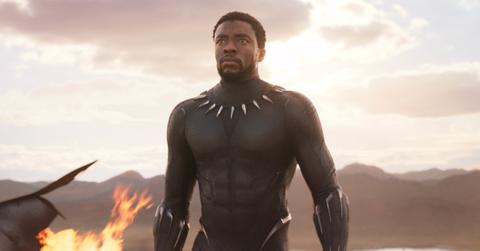 Chadwick Boseman as T'Challa / Black Panther in 'Black Panther' (2018).