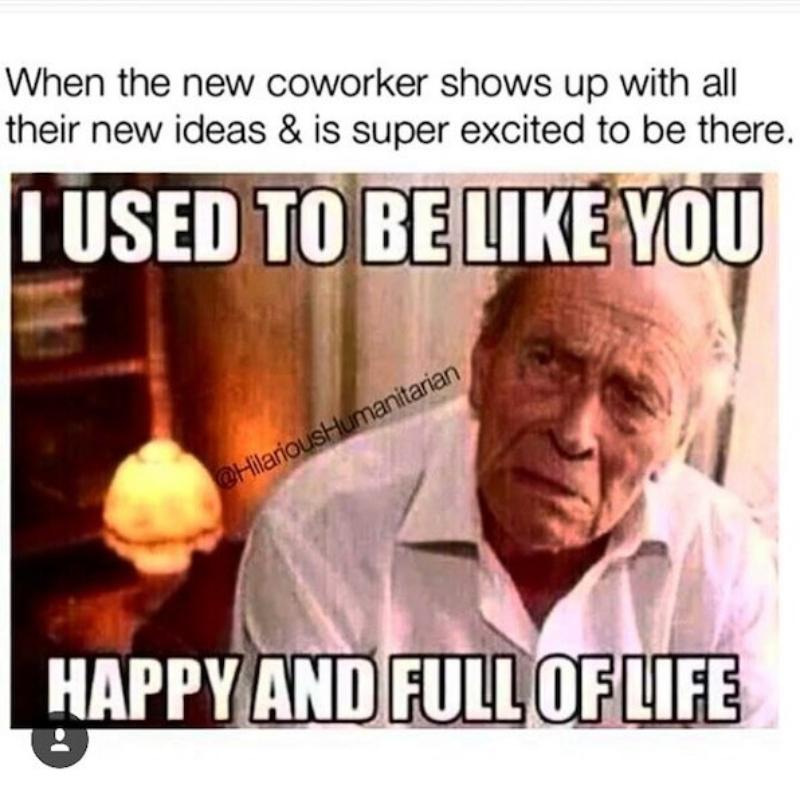 Featured image of post Happy 1 Year Work Anniversary Meme - Over 101 options to brighten a coworker&#039;s day.