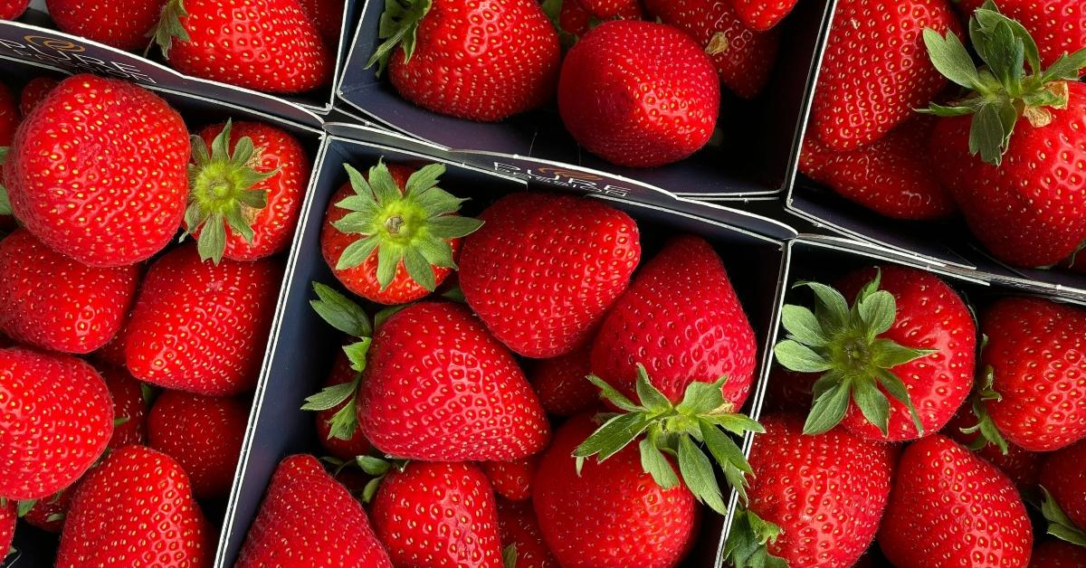 Strawberries portioned out into pint containers.