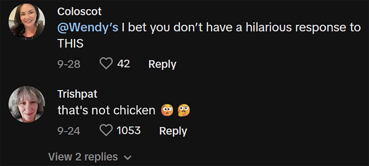 Comments about hollow chicken patty from wendy's