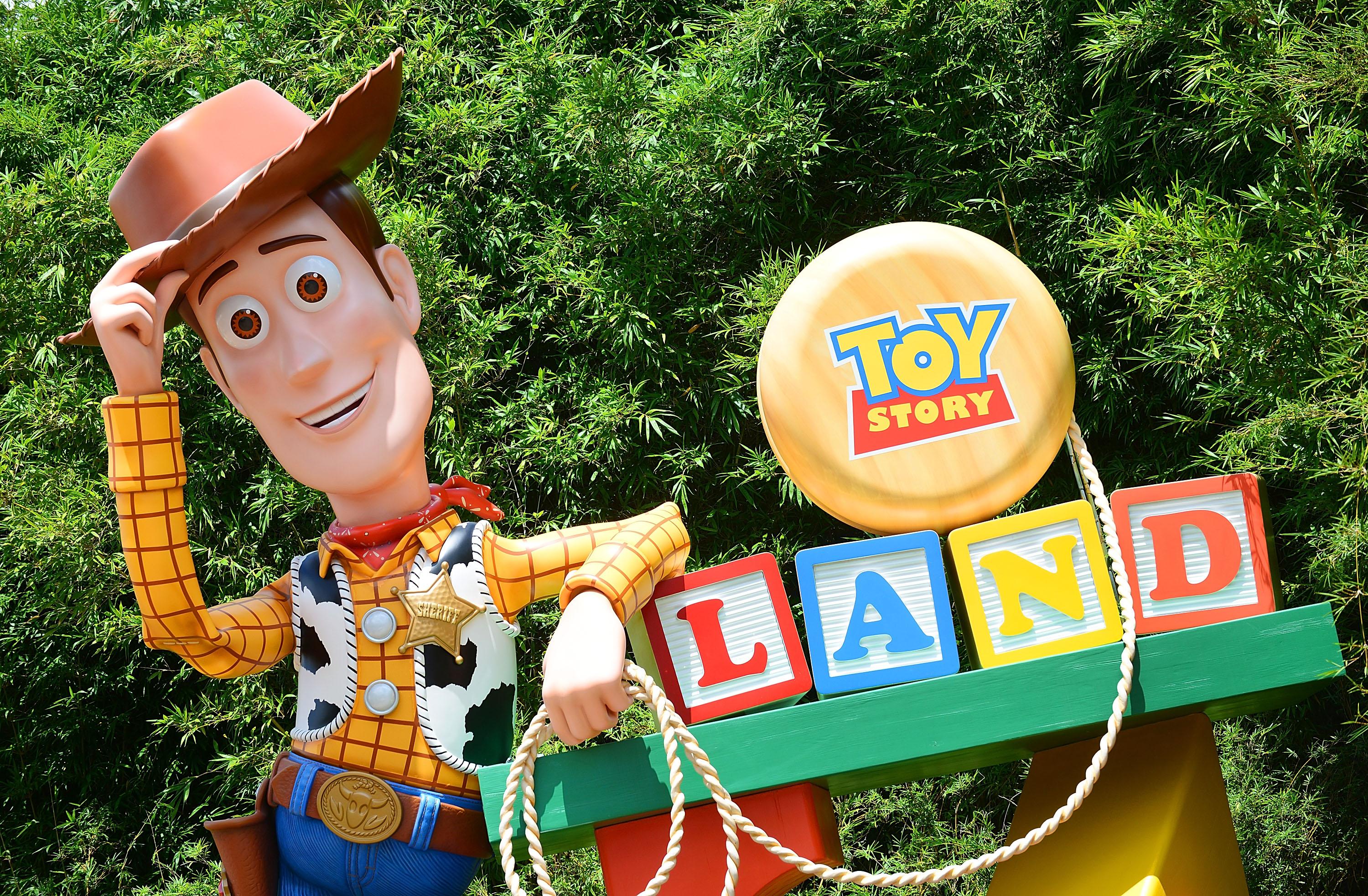 toy story land