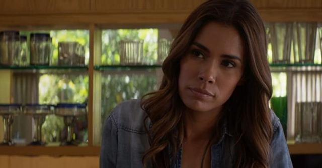 Daniella Alonso as Catherine in 'Animal Kingdom'