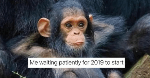 happy new year memes