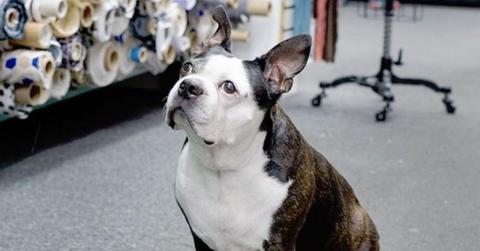 Swatch from 'Project Runway'