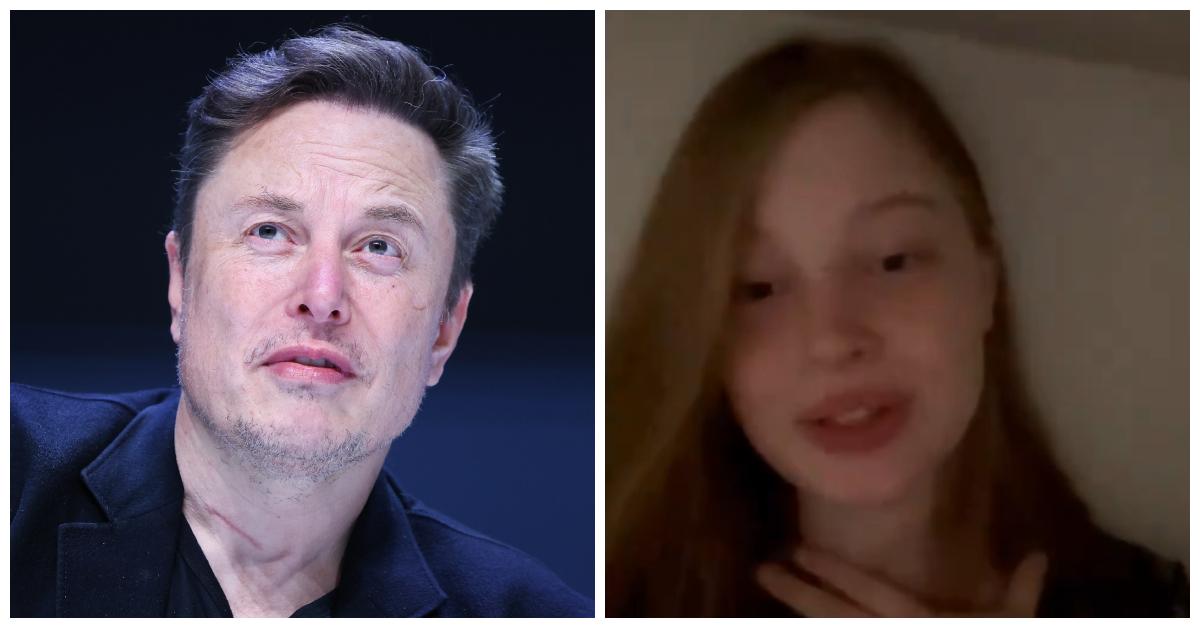 Elon Musk and Vivian Jenna Wilson