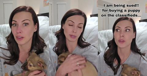 “Shady” Dog Breeder Tries Suing Customer After She Bought Dog