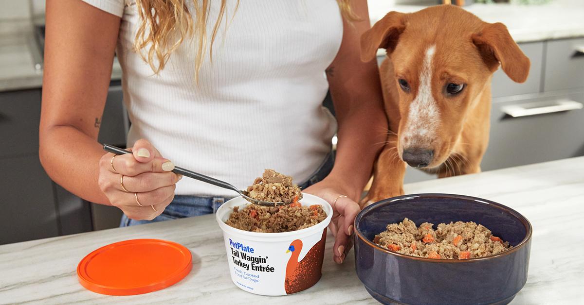 pet plate fresh dog food