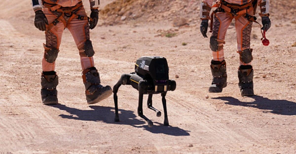 The robot dog on 'Stars on Mars'