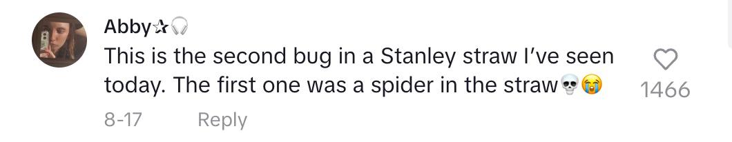 tiktok comment stanley straw bugs
