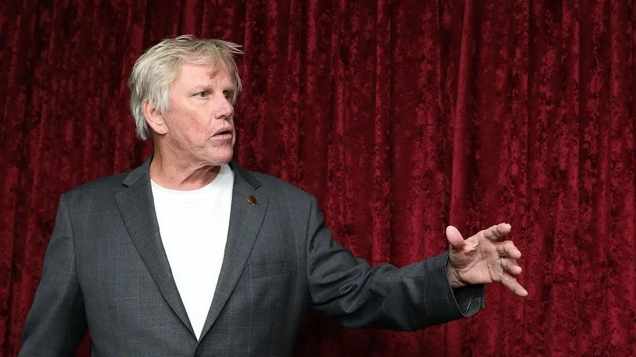 What Is Gary Busey Up to Now? Possible HitandRun Breaking News in