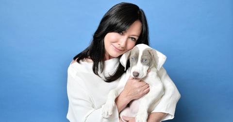 Shannen Doherty in her portrait at the American Humane Hero Dog Awards.