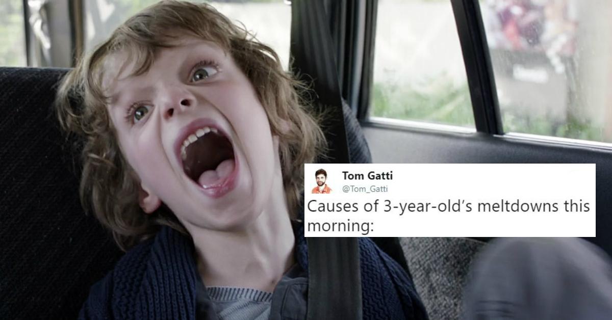 Parents Are Relating Hard To These Ridiculous Tantrum Stories