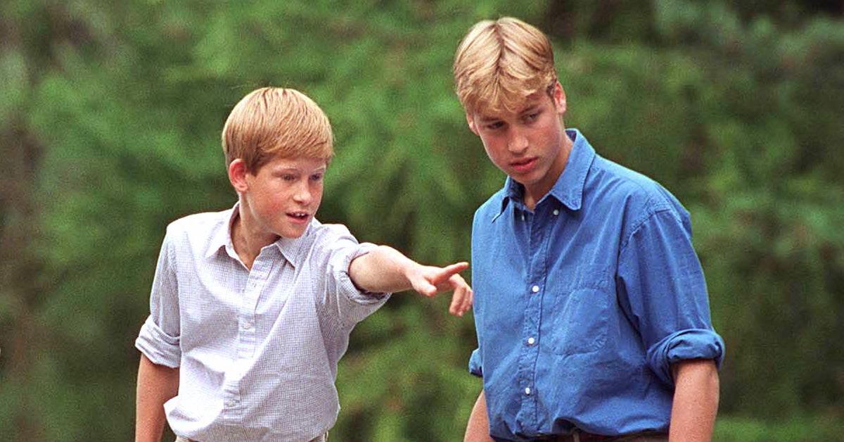 How Much Does Prince Harry Get Paid? His Is Technically Zero