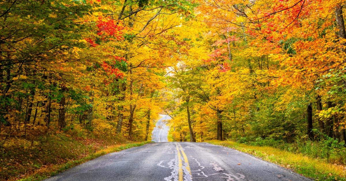 new england fall foliage