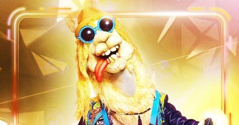 llama1-1580740012531.jpg