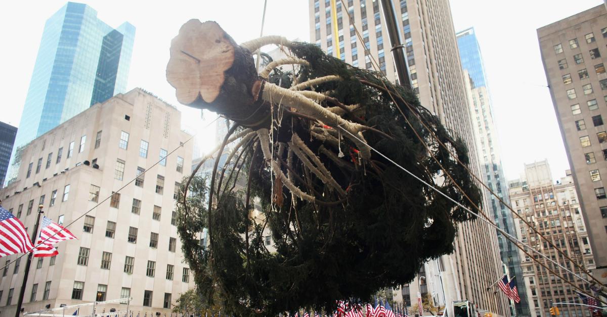 rockefeller tree