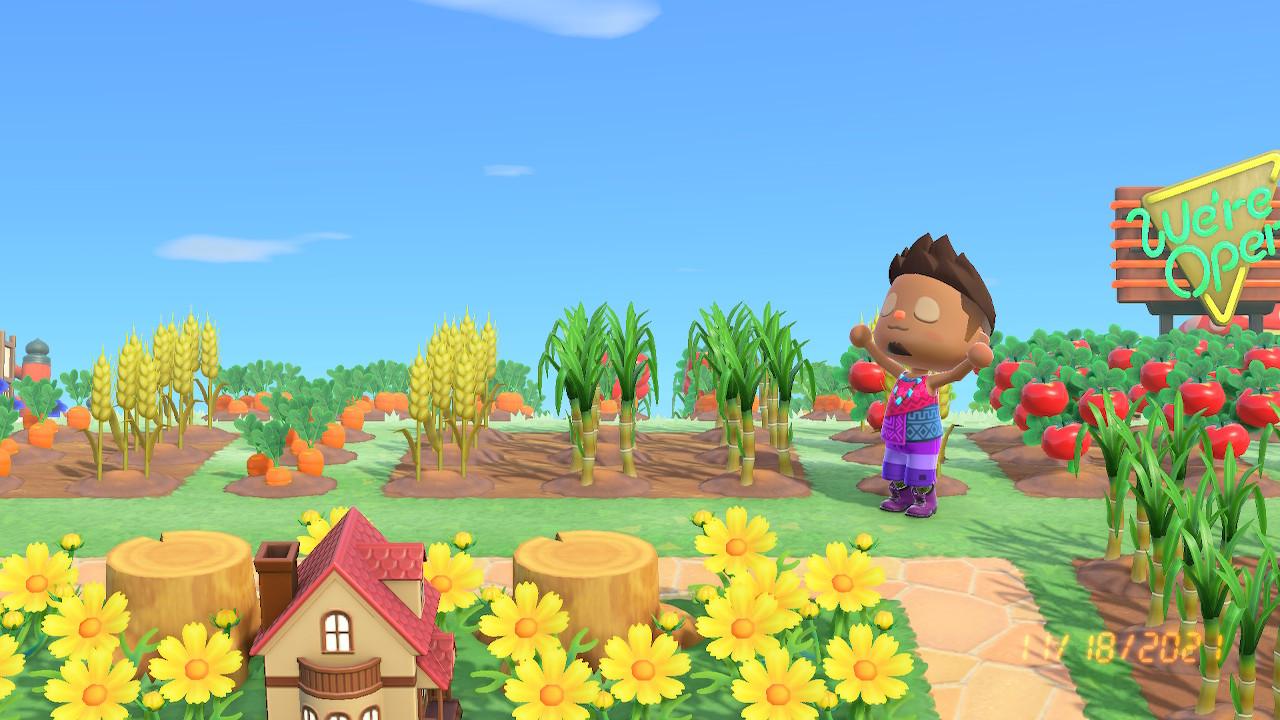 How to Get All of the New Crops in 'Animal Crossing New Horizons'